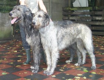 Anthony_Ana_050910a02