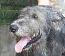 Anthony_Kopf_05091002