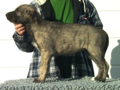 E_R2_060102_small0202