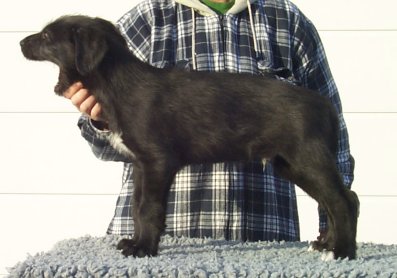 Espresso_060102_small02