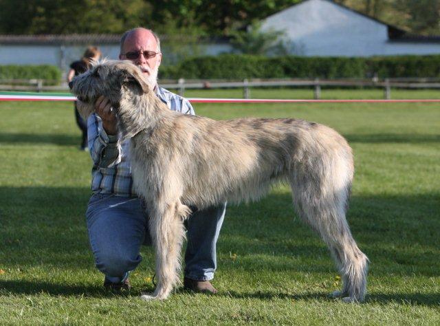 Gwenyfhar_Oberhausen-2010-709