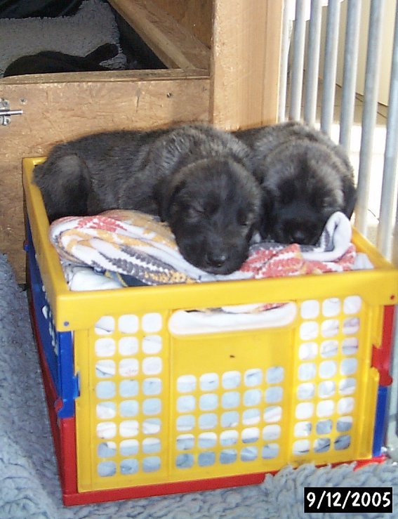 Schlafkiste_05120903