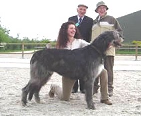 anthonyoftreackasgarden_05111503