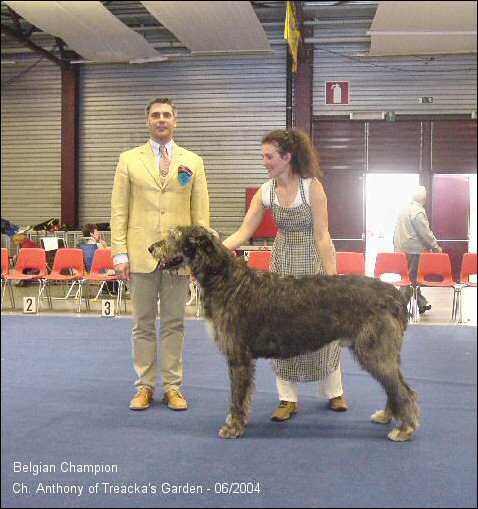 anthonytreackasgarden03