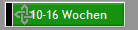 10-16 Wochen