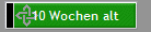 10 Wochen alt
