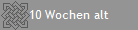10 Wochen alt