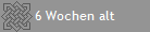 6 Wochen alt