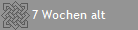 7 Wochen alt