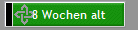 8 Wochen alt