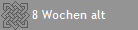 8 Wochen alt
