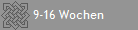 9-16 Wochen