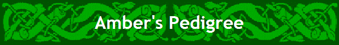 Amber's Pedigree