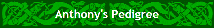 Anthony's Pedigree