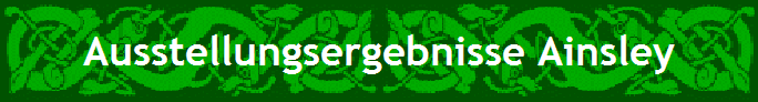 Ausstellungsergebnisse Ainsley