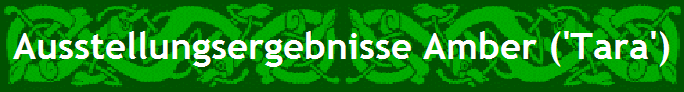 Ausstellungsergebnisse Amber ('Tara')