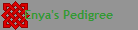 Enya's Pedigree