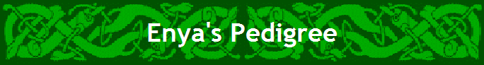 Enya's Pedigree
