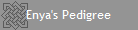 Enya's Pedigree