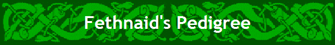 Fethnaid's Pedigree