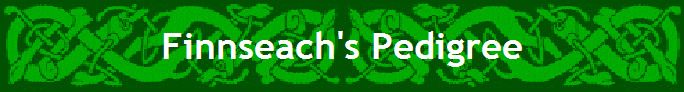 Finnseach's Pedigree
