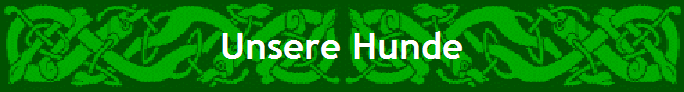 Unsere Hunde