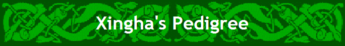 Xingha's Pedigree