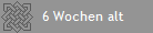    6 Wochen alt