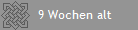    9 Wochen alt