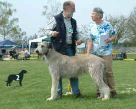 Danaidh_of_Ardmore_IW_JAS_2006_V2_JK