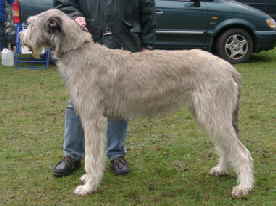 Danaidh_of_Ardmore_Volkmarsen_2006_V1_JgBOB02