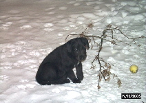 Emma_im_Schnee_05121902