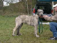 Evan_Eleazar_of_Ardmore_Volkmarsen_2006_01