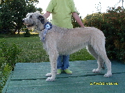 Finnseach_CAC_Landstuhl_20100626_small