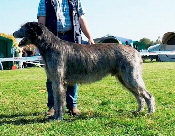 Frederick_BOB_BIS_Sachsenheim_09_10_10