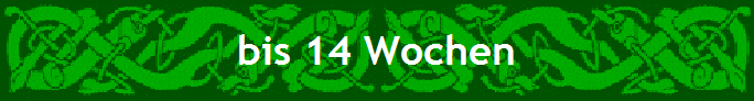 bis 14 Wochen
