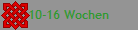 10-16 Wochen