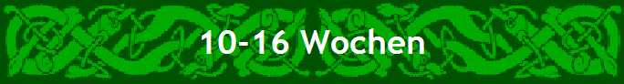 10-16 Wochen
